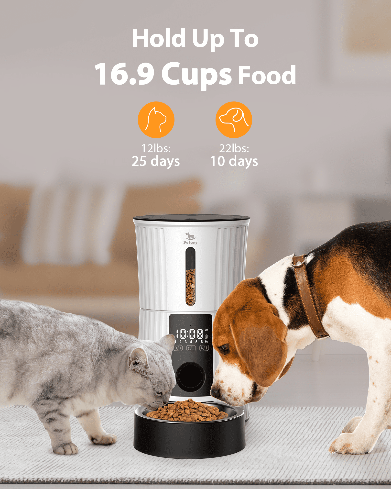 Petory Timed 4L Automatic Cat Feeder with Dual Power Supply for Cats and Small Dogs