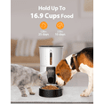 thumbnail image 7 of Petory Timed 4L Automatic Cat Feeder with Dual Power Supply for Cats and Small Dogs, 7 of 7