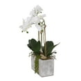 thumbnail image 2 of Jenny Silks Real Touch White Phalaenopsis Orchids, Leaves, String of Pearls in Pot - 16W x 9D x 23H, 2 of 4