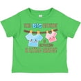 thumbnail image 3 of Inktastic This Big Brother is Expecting a Little Sister Boys Toddler T-Shirt, 3 of 5