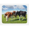thumbnail image 1 of Cattle Bath Mat, Various Colored Herd of Cows Grazing on Pasture Nature Themed Digital Image Print, Plush Bathroom Decor Mat with Non Slip Backing, 29.5" X 17.5", Multicolor, by Ambesonne, 1 of 2