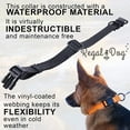 thumbnail image 2 of Regal Dog Products Custom Fit Waterproof Collar with High Strength Buckle & Heavy Duty Ring, 2 of 9
