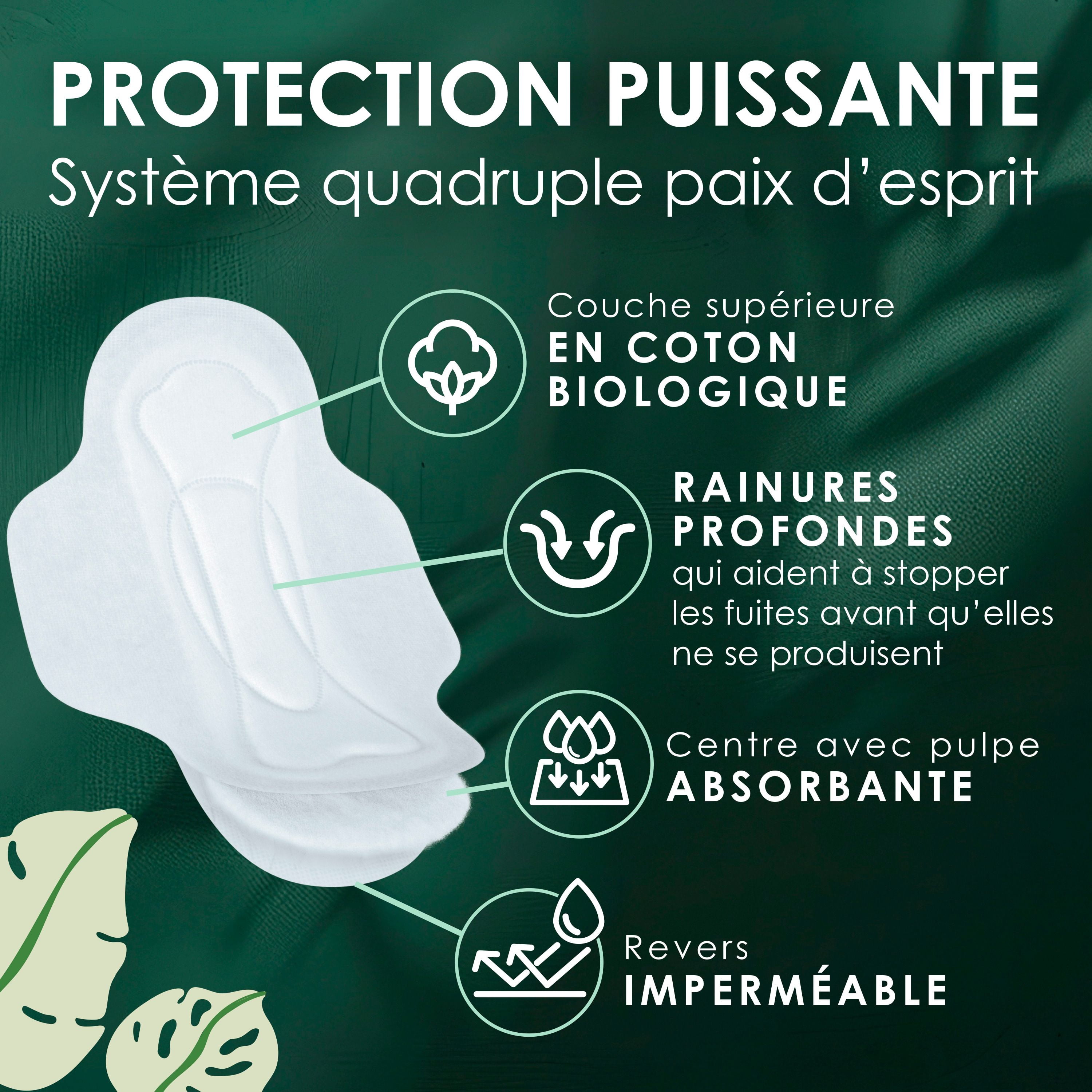 L. Ultra Thin Pads for Women, Organic Cotton Top Layer, Super Absorbency, Menstrual Pads with Wings, 42 Count