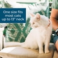 Wondercide Cat Collar, Flea & Tick Repellent, Up to 3 Months Protection ...