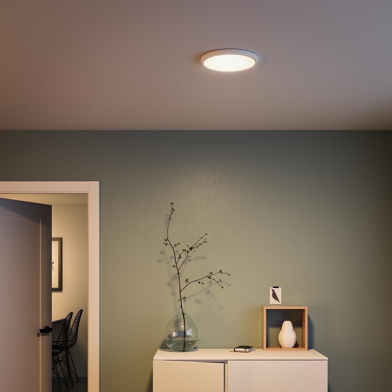 Philips 11.8inch LED integrated 22W 100W Super Slim flush Mount Lighting, Philips 11.8" LED flushmount