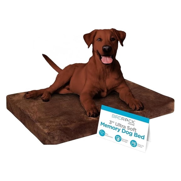 Memory 3" Memory Dog Bed | Ultra Soft Plush Pet Bed | Pet Mat (34 x 22, Brown)