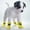 C, variant on Pet Supplies Water Shoes for Cats and Dogs - Protective Indoor Outdoor Booties for Small and Trailing Rainy Days 4PCS