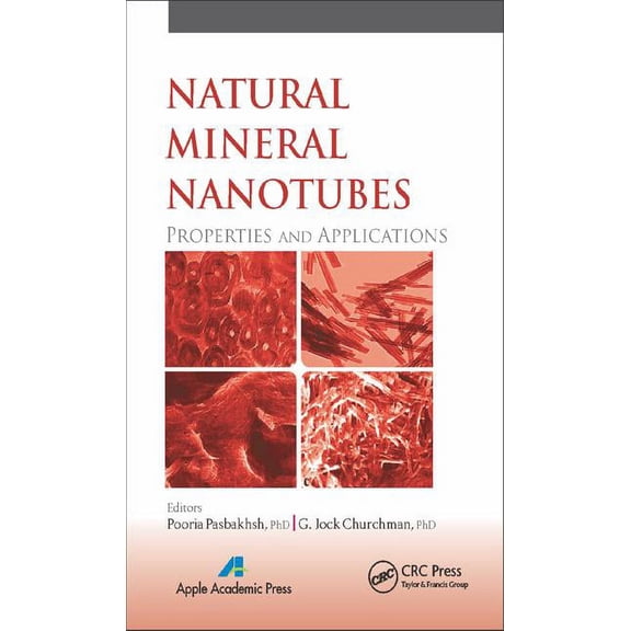 Natural Mineral Nanotubes: Properties and Applications, (Hardcover)