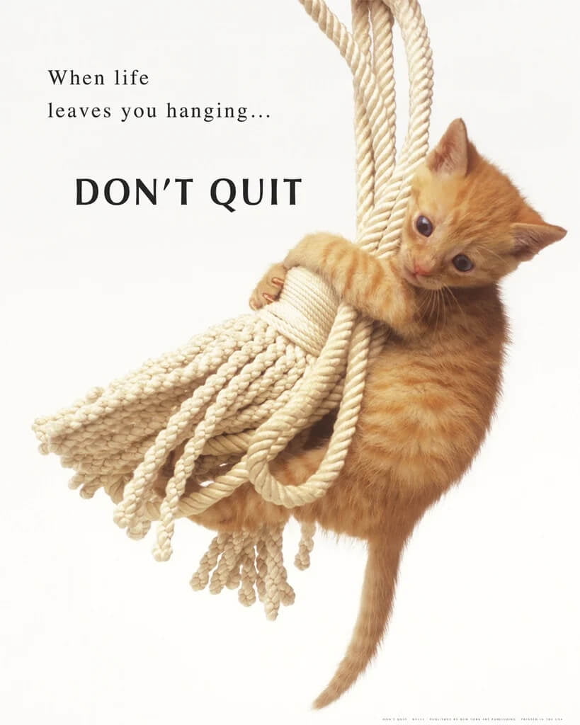 Kig forbi Kære pie Don't Quit Cute Cat Kitten Animal Motivational Poster 16 x 20 inches -  Walmart.com