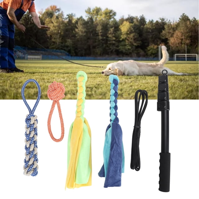 Flirt Pole, Interactive Fun Collapsible Dog Flirt Pole Multipurpose Safety for Exercising