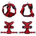 thumbnail image 4 of Cat Harness and Leash for Walking Cat and Small Dog Harness Soft Mesh Harness Adjustable Cat Vest Harness with Reflective Strap Comfort Fit for Pet Kitten Puppy Rabbit, 4 of 8