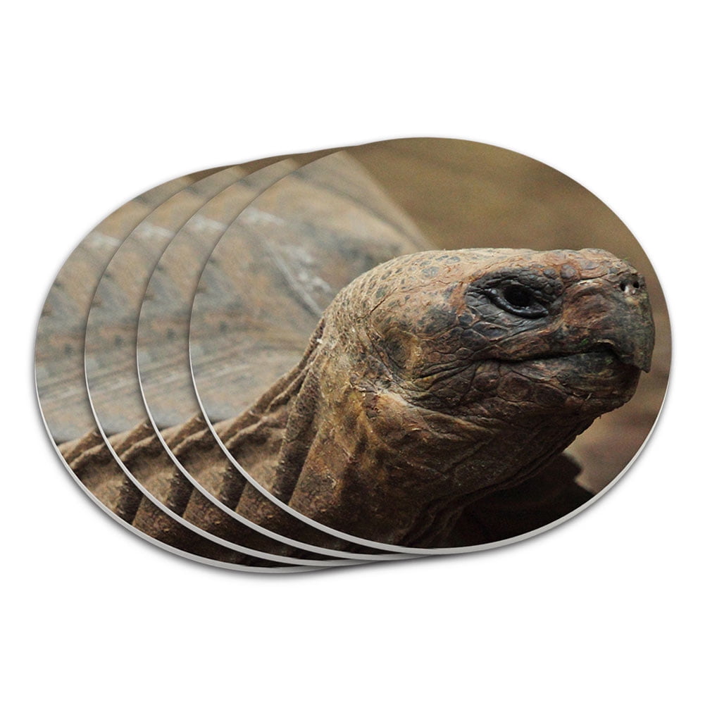 4x A Cute Tortoise Picture Table Coasters Set in Gift Box AR-T16C 