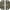 Polished Brass, variant on Deltana Dspa3040 3" X 4" Solid Brass Square Corner Plain Bearing Mortise Hinge - Nickel