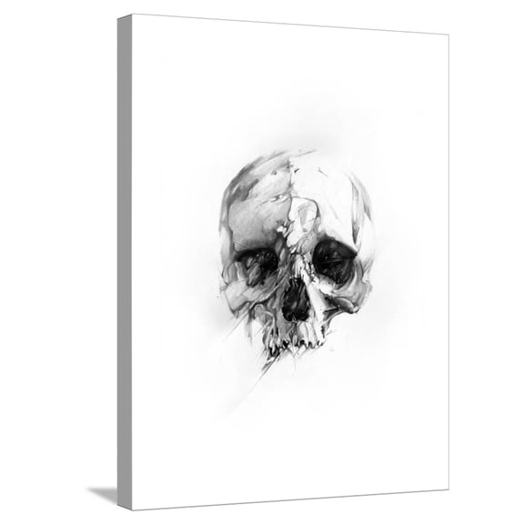 Art.com Skull 46 Stretched Canvas Print Wall Art by Alexis Marcou, 18" x 24"
