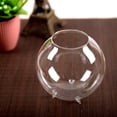thumbnail image 5 of Florero Hidropónico, Contenedor De Plantación De Mesa, Adorno De Jardinería Simple, Soporte Para Plantas De Agua, Maceta De Vidrio, Jarrones, Decoraciones Speravity HA023789-00, 5 of 5