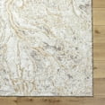 thumbnail image 5 of BoutiqueRugs Syler Traditional, Transitional Area Rug - Light Silver, Warm Gray - 2' x 2'11", 5 of 6