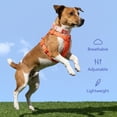 thumbnail image 5 of Oodles Polyester I Heart Walks Adjustable Step-in Dog Walking Harness Red, Small, 5 of 9