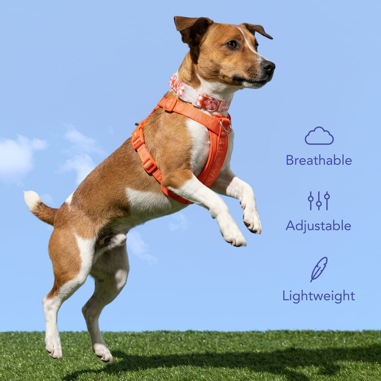 Oodles I Heart Walks Step-in Dog Harness, Red Small photo 5