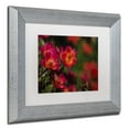 thumbnail image 4 of Trademark Fine Art "Beauty of Summer Blooms Red" Canvas Art by Kurt Shaffer, White Matte, Silver Frame, 4 of 4