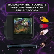 SatelliteSale Audio Video 10 Pin RCA Composite DirecTV Replacement Cable Universal Wire PVC Black Cord 6 feet