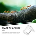 Tersarium Ants Feeding Container Acrylic Ants Water Feeders Ants Nest