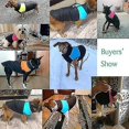 thumbnail image 4 of Pet Dog Warm Coat Jacket Waterproof Clothes Small Medium Large Pet Dog Cat, 4 of 5