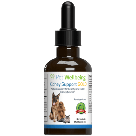 UPC: 0661822600566 | Pet Wellbeing Natural Kidney Disease Support for Cats – Kidney Support Gold 2oz (59ml)
