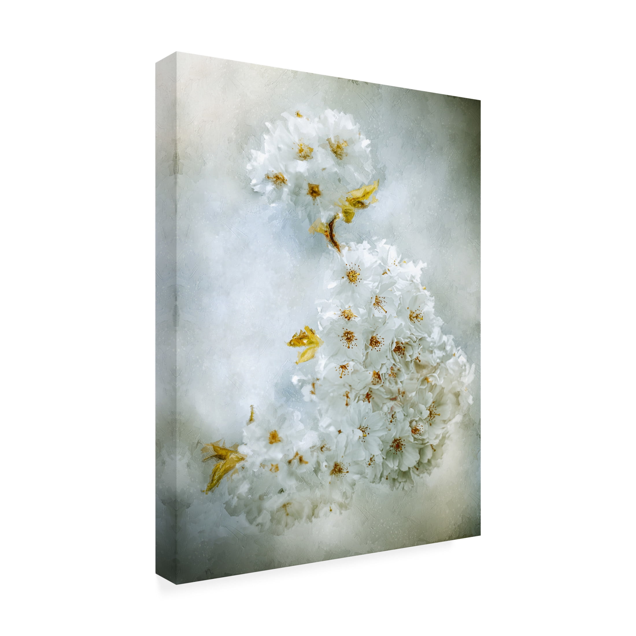 Trademark Fine Art Kristina Zvinakeviciute Cherry Blossoms Canvas Wall Art