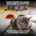 thumbnail image 6 of BestLife4Pets - Cat Laxative Constipation Relief and Stool Softeners - Digestive Health Supplement for Gas Relief and Constipation - Natural Laxative for Cats, 6 of 9