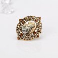 thumbnail image 5 of MAYUJIAA Women Ladies Exquisite Shell Alloy Brooch Pin with Rhinestone Clothing Accessory AL416-A SS311-28184, 5 of 5