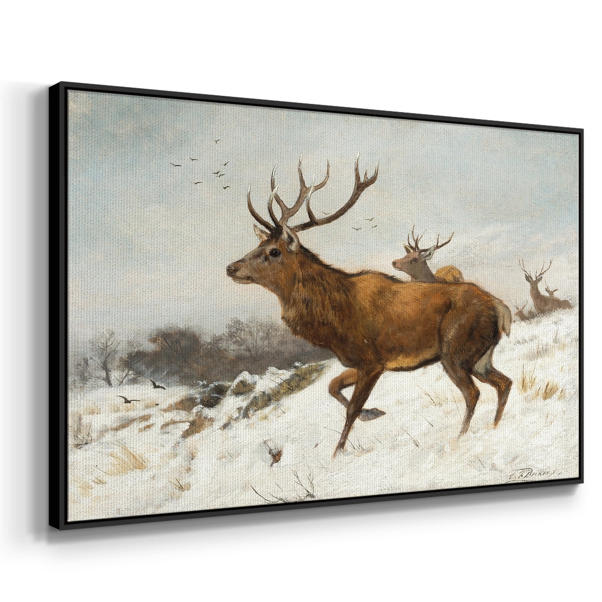 Vintage Animal Print-V By Wexford Home Framed in Black Wood Gallery Wrapped Canvas 27 in. x 41 in.