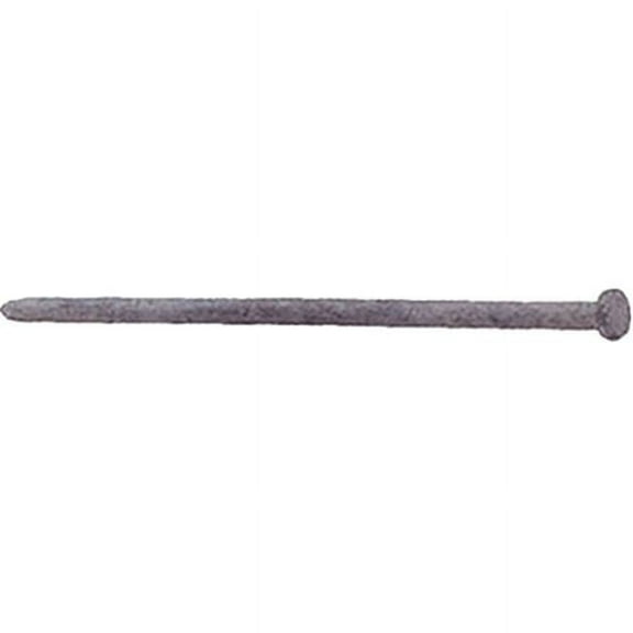 0.37 x 8 in. Hot Galvanized Spikes, 50 lbs