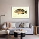 thumbnail image 5 of Póster de pintura de peces, pintura decorativa, lienzo, arte de pared, carteles para sala de estar, pintura para dormitorio, estilo marco, 20 x 30 cm, 5 of 8