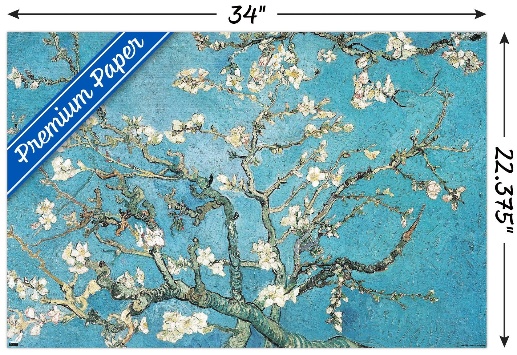 Almond Branches In Bloom by Vincent van Gogh Wall Poster, 22.375" x 34"