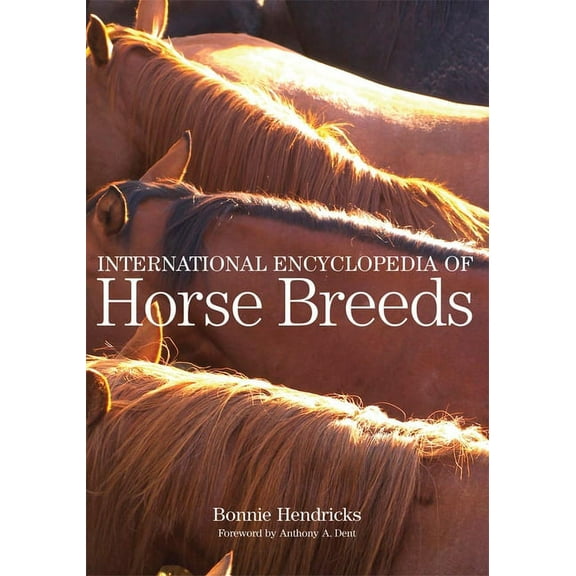 International Encyclopedia of Horse Breeds, (Paperback)