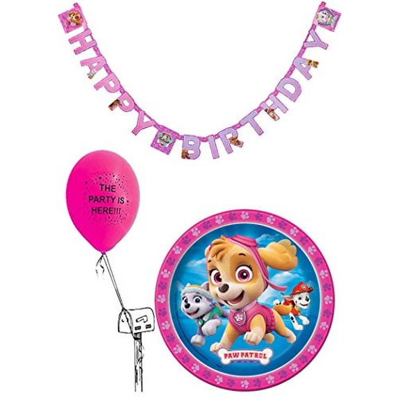 Paw Patrol Skye And Everest 24 Guest Dessert Plates Party Pack