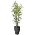 thumbnail image 1 of Artificial Real Touch 7.67 Feet Bamboo Tree With Planter, 1 of 3