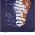 thumbnail image 4 of Northlight Blue and Red Buffalo Outdoor House Flag 40" x 28", 4 of 7