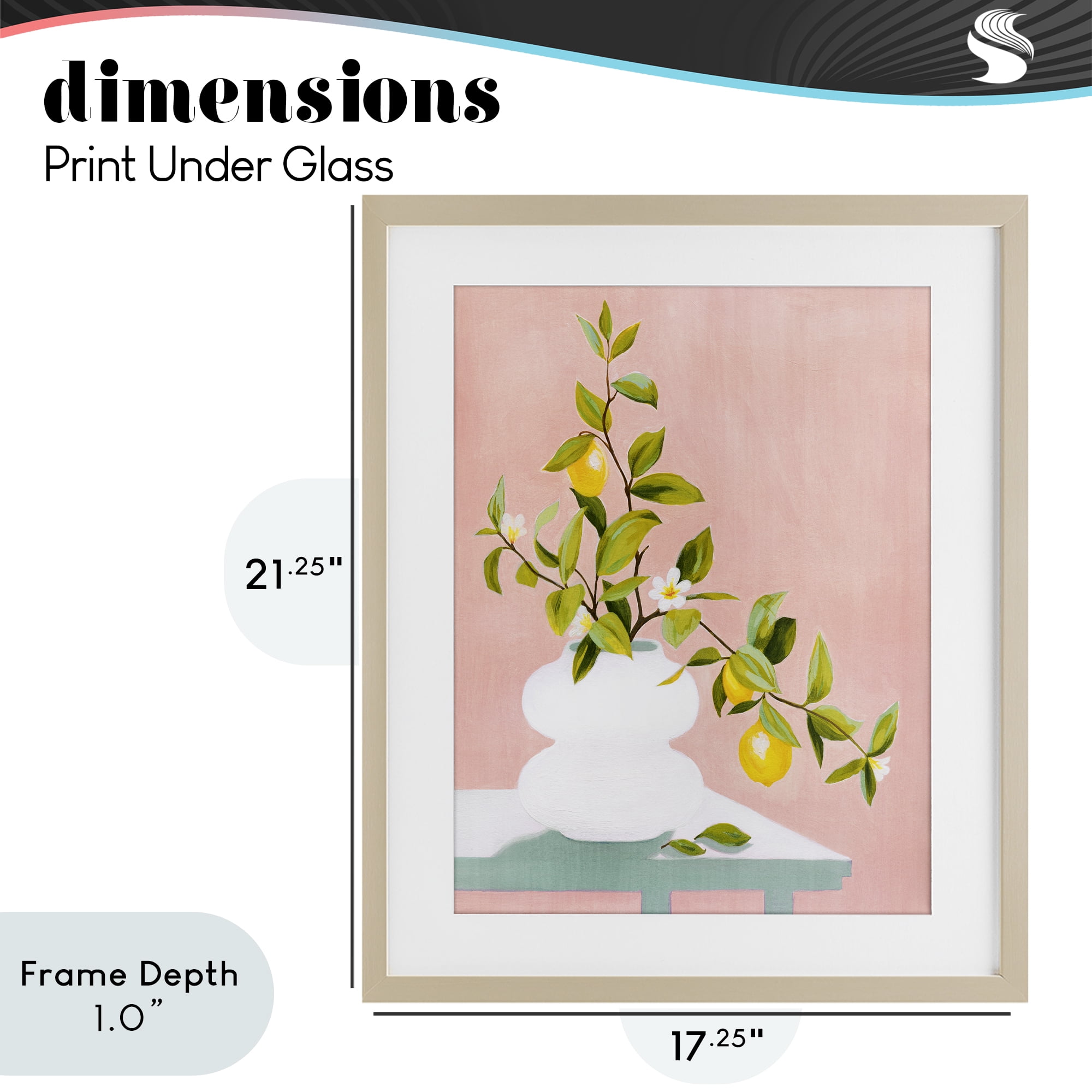 Stupell Industries Afternoon Limoncello Plant Birch Framed Print Under Glass, design by Grace Popp