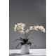 thumbnail image 3 of Paquete de 6 hojas de orquídeas Phalaenopsis, raíces artificiales de aspecto real, plantas táctiles, arreglo de hojas de imitación verde Vhermosa CZJJ-HQ60, 3 of 6