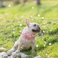 thumbnail image 1 of POINTERTECK Pet Dog Summer Cooling Scarf Adjustable Drawstring Design Prevent Heat Stroke Fashion Cartoon Print Ice Collar, 1 of 7