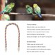 thumbnail image 4 of Juguetes para pájaros con cuerda de escalada percha de cuerda para loros resistente a mordeduras interactiva multiusos colorida para periquitos periquitos y agapornis ANGGREK Otros, 4 of 7