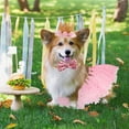 thumbnail image 2 of Dog Tutu Skirt Dog Cat Birthday Party Supplies,Cat Dogs Wedding Dresses with Bowtie and Dog Party Hats Princess Crown Hat Set,Sweet Gift for Small to Medium Dogs Cat, 2 of 6