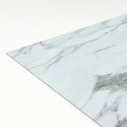 FloorPops Opaline 12 in. x 12 in. Peel and Stick Virgin Vinyl Floor Tiles (10-Pack)