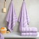 thumbnail image 2 of Juego de Toallas de Baño American Soft Linen Salem 69x137 cm 600 GSM Lila, 2 of 9