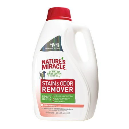 Nature’s Miracle Stain & Odor Remover, Melon Burst Scent, 128 fl oz, Tough on Organic Stains and Odors