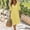Yellow plus size boho midi dresses a1, variant on Uscallm Women's Plus Size V Neck 3/4 Sleeve Boho Flowy Midi Dresses Solid Loose Casual Beach Vacation Sundresses, Sky Blue XL