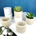 thumbnail image 5 of Small Flower Pot Silicone Mold Succulents Concrete Flower Pot Vase Plaster Cement Clay Mold Plant Holder Mold, 5 of 8