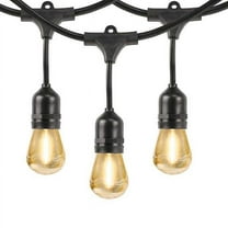 Feit 48' LED Filament String Light Set-Black