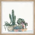 thumbnail image 3 of Marmont Hill Little Cacti Garden Framed Painting Print, 3 of 5